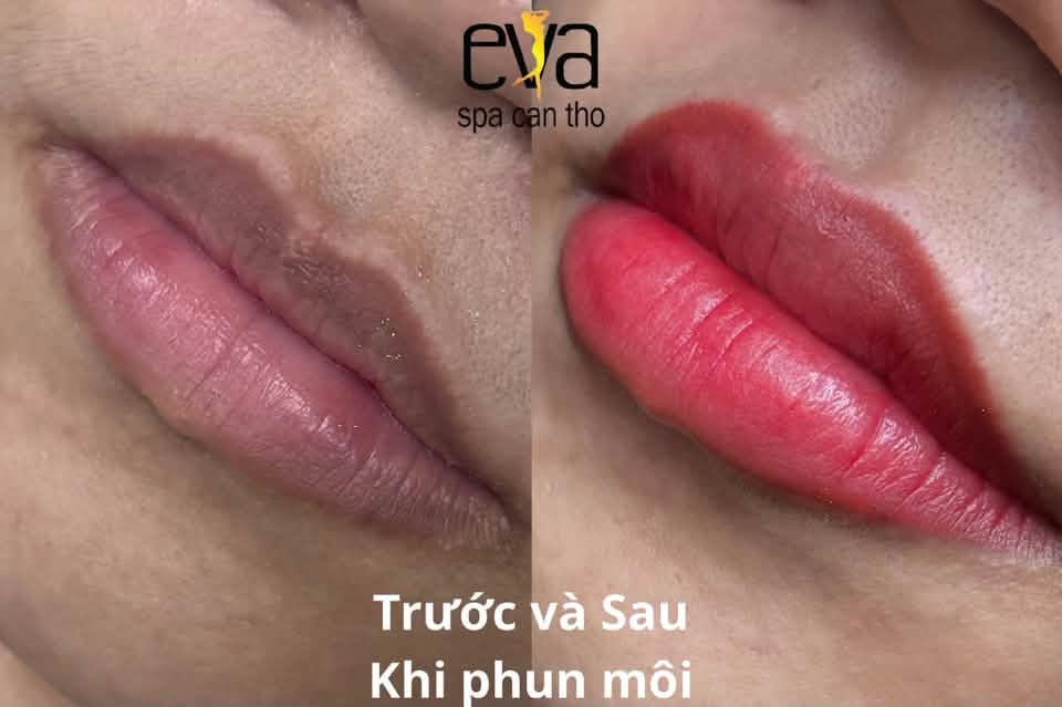 Phun Môi Bao Lâu Thì Phai? Và Khi Nào Nên Phun Lại Để Màu Luôn Đẹp?