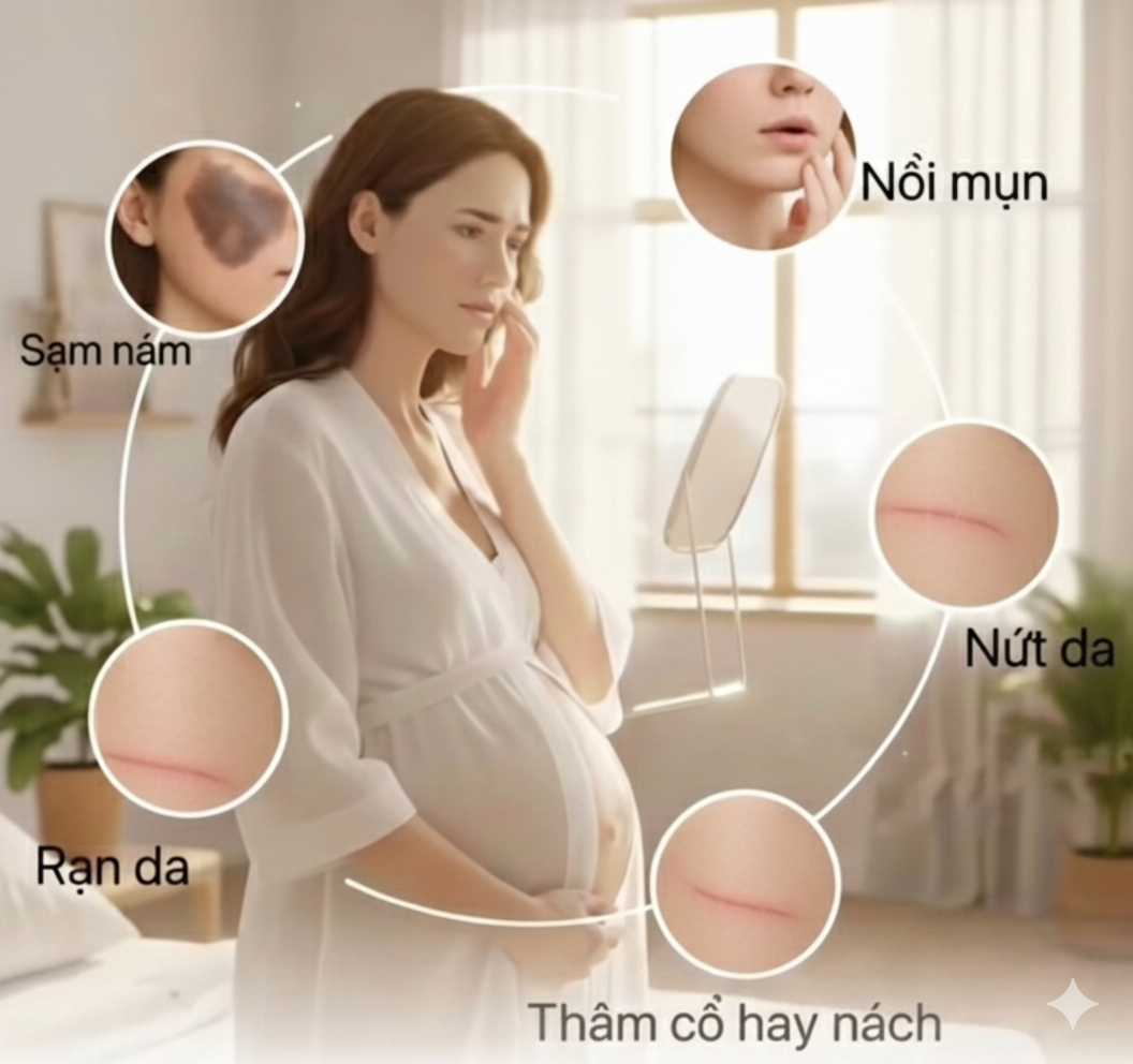 Phần 1. Sự thay đổi cơ thể và làn da khi mang thai | Chuyên đề về da nám