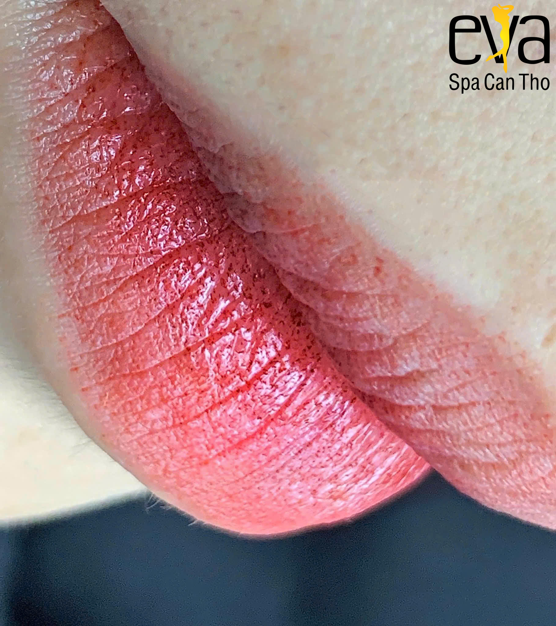 Phun Xăm Thẩm Mỹ 2026 - Xu Hướng Làm Đẹp Bán Vĩnh Viễn Đang "Lên Ngôi"