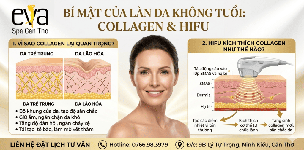 Vì sao collagen lại quan trọng và HIFU kích thích collagen như thế nào?