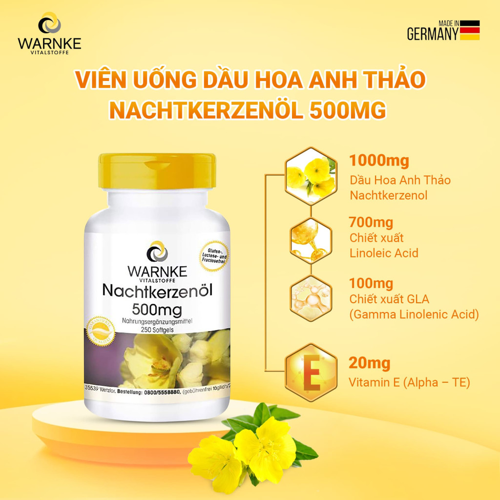 Viên uống tinh dầu hoa anh thảo Warnke Nachtkerzenol 500mg hộp 100 viên
